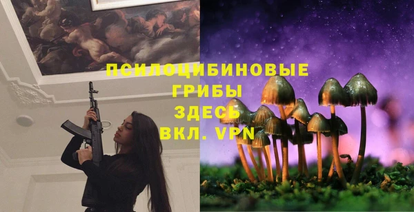 амф Александровское